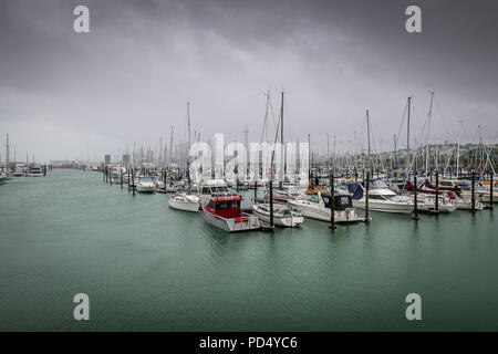 Saint Mary's Bay, Auckland, Nouvelle-Zélande Banque D'Images