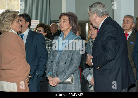 Reine émérite de l'Espagne Doña Sofia de Grèce et de Danemark visite la banque alimentaire de Cáceres, Extremadura, Espagne. Banque D'Images