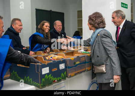 Reine émérite de l'Espagne Doña Sofia de Grèce et de Danemark visite la banque alimentaire de Cáceres, Extremadura, Espagne. Banque D'Images