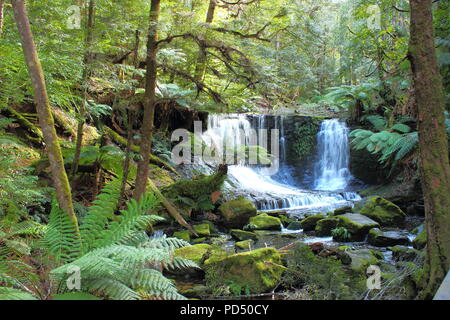 Cascade de Rainforest - Tasmanie Banque D'Images