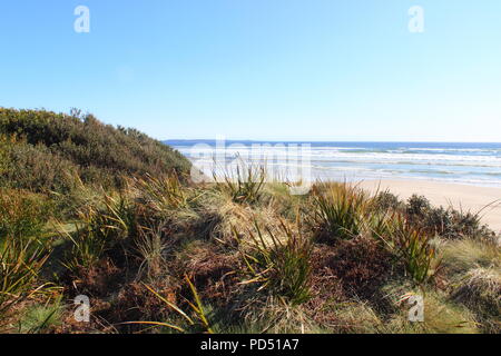 Une plage de Strahan Banque D'Images