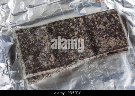 Chocolat moisis dans l'emballage d'origine. Des produits alimentaires utilisés pour les desserts. Arrière-plan blanc. Banque D'Images