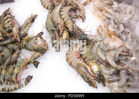 Close up de droit de crevettes congelées crues sur la glace sur le marché. Banque D'Images