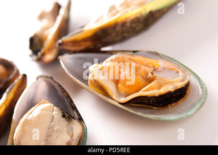 Six moules dans un coquillage isolé sur fond blanc Banque D'Images