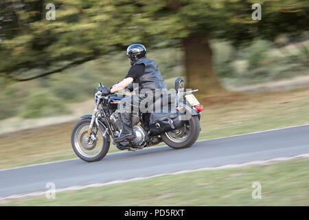 Sa circonscription vêtue de cuir biker custom cruiser XL883 Harley Davidson faible, l'ensemble du Beverley Westwood, East Yorkshire,. Photographié à l'aide de p Banque D'Images