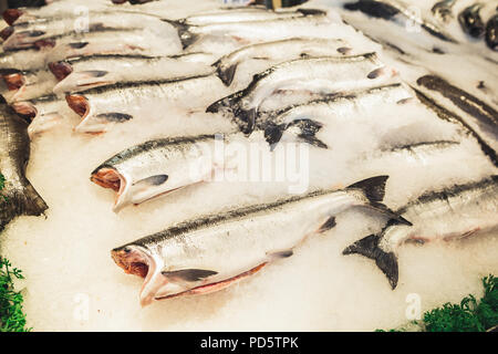 Seattle, Washington, USA - Juillet 6, 2018 : le saumon sauvage frais on ice au marché de poisson de Seattle, Washington, USA Banque D'Images