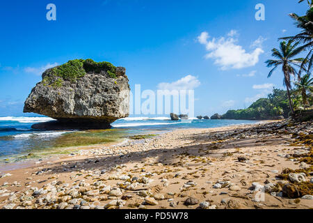 Plage de Bathsheba Banque D'Images