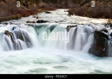 Chutes de la truite arc-en-ciel, arc-en-ciel Falls Wilderness Zone d'étude, sauvages et pittoresques de Deschutes River District Prineville, Bureau de la gestion des terres, de l'Oregon Banque D'Images