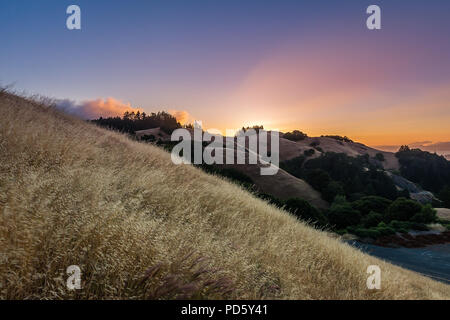 Le Mont Tamalpais State Park Banque D'Images