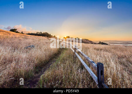 Le Mont Tamalpais State Park Banque D'Images