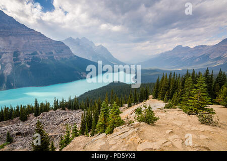 Le lac Peyto Banque D'Images