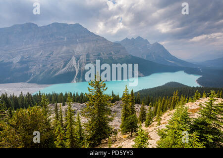 Le lac Peyto Banque D'Images