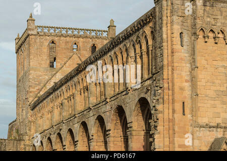 Détail architectural des ruines de l'abbaye de Jedburgh, une Abbaye Augustinienne de styles roman et gothique précoce. Banque D'Images