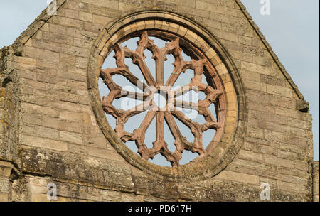 Détail architectural des ruines de l'abbaye de Jedburgh, une Abbaye Augustinienne de styles roman et gothique précoce. Banque D'Images