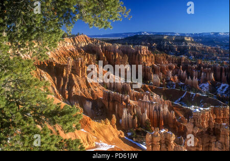 Amérique du Nord ; United States ; Utah ; Parc National de Bryce Canyon, l'aube, déserts, paysages ; caractéristique naturelle. Banque D'Images