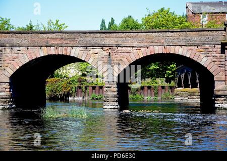 Arch dans le Trent Bridge Pont-route A511 sur la rivière Trent avec une famille de bernaches du Canada en passant par, Burton upon Trent, Staffordshire, Angleterre, RU Banque D'Images