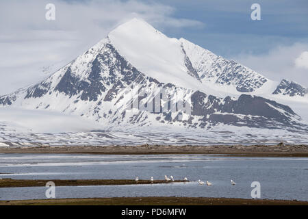 La Norvège, Svalbard, Spitzberg, l'Isfjord, Poolepynten. Banque D'Images