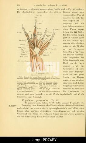 Soirée des Frosches (page 158, fig. 92) Banque D'Images