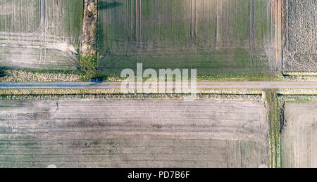 Résumé vue aérienne, vue verticale d'une route de terre entre les champs, black car sur le chemin. Banque D'Images