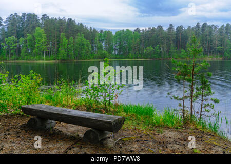 Paysage de lacs et de forêt le long de la crête de Punkaharju. Côte de la région de Lakeland, Savonia, Finlande Banque D'Images