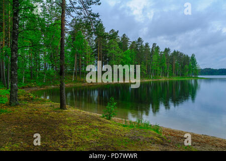 Paysage de lacs et de forêt le long de la crête de Punkaharju. Côte de la région de Lakeland, Savonia, Finlande Banque D'Images