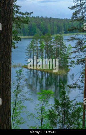 Paysage de lacs et de forêt le long de la crête de Punkaharju. Côte de la région de Lakeland, Savonia, Finlande Banque D'Images