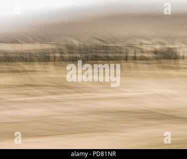 Impression abstraite du désert du Néguev de Cisjordanie Palestine floue montrant les dunes mobiles, vent et peu de végétation. Une impression d'un movi Banque D'Images