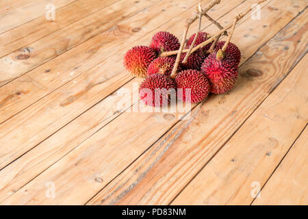 Le pulasan, Nephelium mutabile Blume (famille des Sapindaceae), est un fruit tropical étroitement allié à la ramboutan et parfois confondu avec elle sur woode Banque D'Images