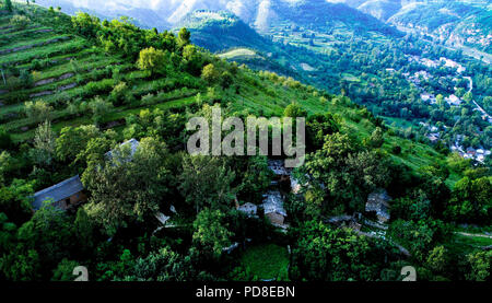 Luonan. 7e août 2018. Photo aérienne prise le 7 août 2018 montre les bâtiments ardoise entre les arbres dans les montagnes Qinling dans un village à Jin'Shipo Canton de Luonan County, au nord-ouest de la province de Shaanxi en Chine. L'ancien bâtiment de l'ardoise dans le complexe Montagnes Qinling, également appelée "aziliang' par la population locale, est reconnu comme "un fossile vivant d'anciennes maisons dans les montagnes Qinling folk'. Credit : Tao Ming/Xinhua/Alamy Live News Banque D'Images