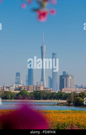 , Guangzh Guangzh, Chine. 8e août 2018. Guangzhou, Chine-paysages du parc national des zones humides du lac de Haizhu à Guangzhou, province du Guangdong en Chine du sud. Crédit : SIPA Asie/ZUMA/Alamy Fil Live News Banque D'Images