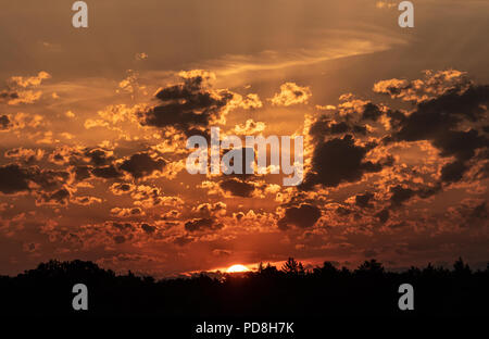 Berlin, Allemagne. Le 08 août, 2018. Le soleil se lève sur un treetrain au grand Wannsee. Crédit : Paul Zinken/dpa/Alamy Live News Banque D'Images