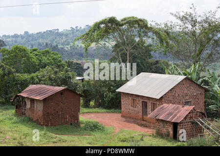 Scène de village rural dans le district de Mukono, en Ouganda. Banque D'Images