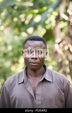 Portrait d'un homme producteur de cacao dans le district de Mukono, en Ouganda. Banque D'Images