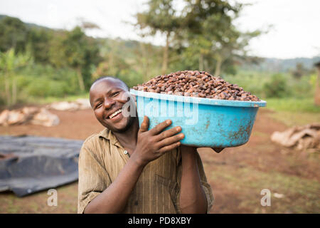 Un travailleur des processus permet de fèves de cacao fermentées à une installation de production de chocolat dans le district de Mukono, en Ouganda. Banque D'Images