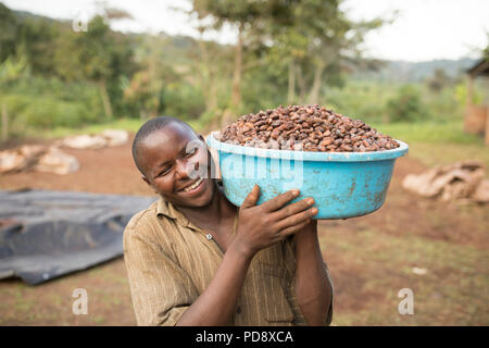 Un travailleur des processus permet de fèves de cacao fermentées à une installation de production de chocolat dans le district de Mukono, en Ouganda. Banque D'Images