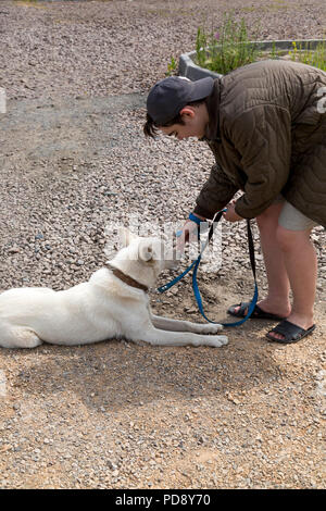 Un garçon effectue des exercices pour la formation d'un chien comme Husky Banque D'Images