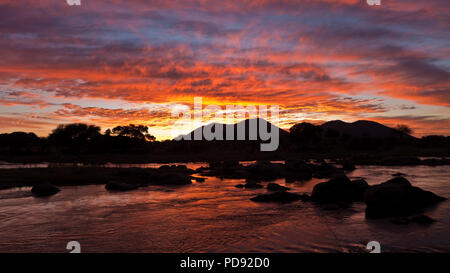 Un lever de soleil spectaculaire sur la Grande Rivière Ruaha prises depuis la véranda de l'une des bandas à Sararis renards camp à Ruaha River Lodge. Banque D'Images