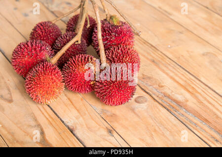 Le pulasan, Nephelium mutabile Blume (famille des Sapindaceae), est un fruit tropical étroitement allié à la ramboutan et parfois confondu avec elle sur woode Banque D'Images