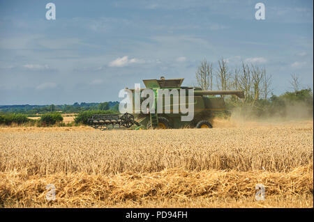 Moissonneuse-batteuse John Deere du blé dans la coupe East Riding of Yorkshire, Angleterre , UK, FR. Banque D'Images