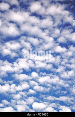 Détail d'un altocumulus ou maquereaux ciel Banque D'Images