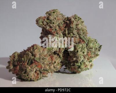 Le cannabis, également connu sous le nom de marijuana parmi les autres noms, est un médicament psychoactif du cannabis à des fins récréatives ou Banque D'Images