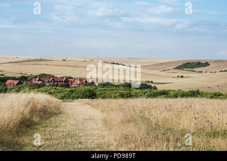 Vue sur les South Downs et Beacon Hill de Ovingdean réserve naturelle sur une journée d'été ensoleillée - East Sussex, Angleterre Banque D'Images