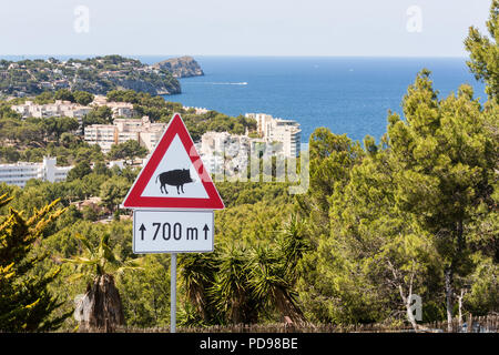 Road Sign - signe de Route - Attention - La faune La faune Sanglier - Danger Banque D'Images