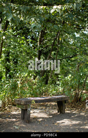 Un banc dans un endroit tranquille sur le parc à pied, le plus ancien de Londres la réserve naturelle locale sur une ancienne ligne de chemin de fer. Partie de la capitale Londres Ring Banque D'Images