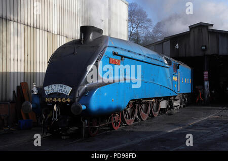 Petit Blongios 4464 pause à Grosmont versé sur la NYMR.6.5.12 Banque D'Images