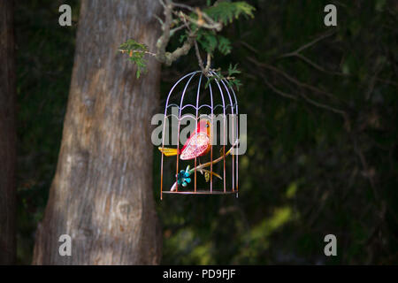 Oiseau en cage dans la nature pour l'espace texte copyspace vintage fashion annonce Banque D'Images