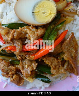 Sauté de porc au piment doux long et la garniture brun demi-œuf dur sur le riz Banque D'Images