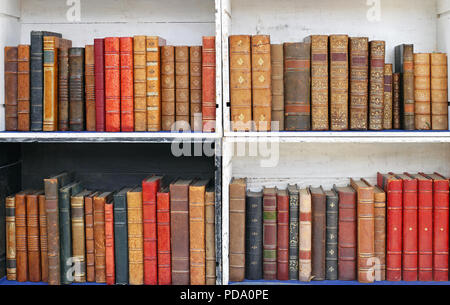 Des livres anciens dans les bibliothèques en bois Banque D'Images