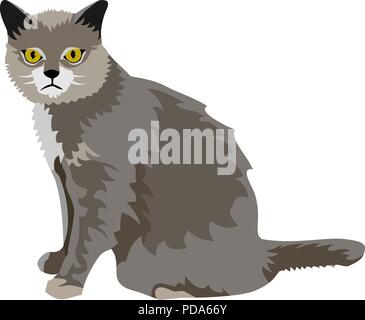 Animal de compagnie gris chat Banque D'Images