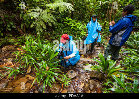 Les touristes de la nature et de guide sur un jour dans la forêt tropicale humide près de Burbayar lodge, à El Llano, République du Panama. Banque D'Images